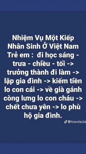 Translating Common Vietnamese Phrases for Beginners