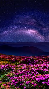 6.9K views · 23 reactions | Combine Photos to blend images, and use Moving Elements to add awe-inspiring motion. | Adobe Photoshop Elements & Premiere Elements | Facebook