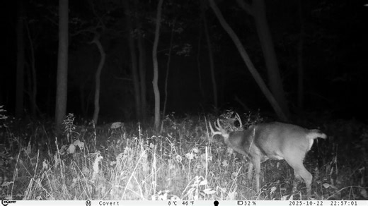 Mark Wagner on Reels