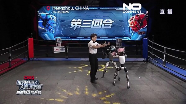 AI Strategist defeats rivals in first-ever humanoid robot tournament