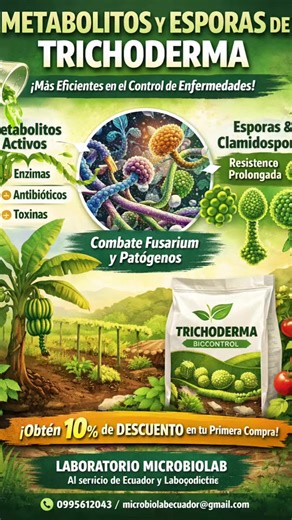 Beneficios de Trichoderma en Agricultura