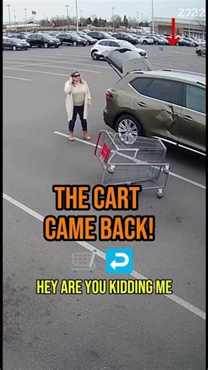 Karen vs. WINDY Shopping Cart! 🛒🌬️ (Instant Karma)