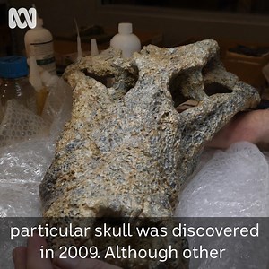 Meet the oldest newest croc species