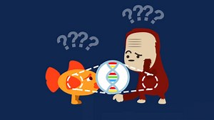 The RNA origin of life