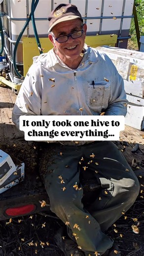 Homer's Honeybee | Utah Beekeepers on Instagram: "This was never just about honey. And it was never just about hives. It started with a father and a son, one curious hive, and a simple question: What would happen if we tried? That curiosity turned into long days. Cold mornings. Stings, failures, small wins, and a whole lot of learning the hard way. And somewhere along the way, it turned into a family business built on respect for the bees, respect for the land, and a desire to help others experi