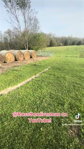 Auction find feeders! #farming #auctions #cattle ￼