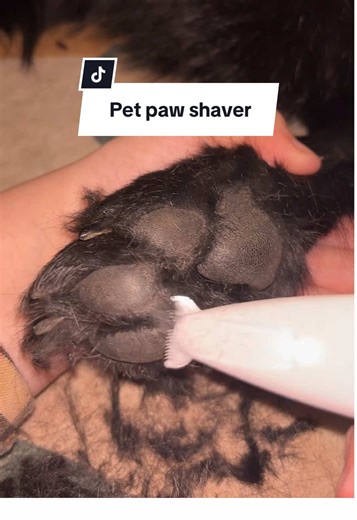 Essential Pet Care Tips: Paw Pad Maintenance