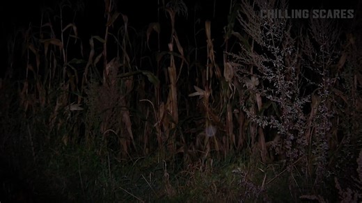 102K views · 2.2K reactions | 3 Terrifying Real Former Police Officer Horror Stories #mrnightmare #Mrnightmare #horror #chillingscares | Mr. Nightmare Tv Series | Facebook