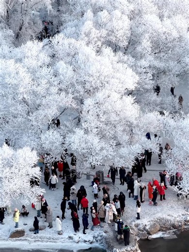 Jilin City in northeast China is famous for its stunning rime ice scenery. Recently, this natural wonder made a spectacular return along the banks of the Songhua River, drawing crowds of visitors. #Jilin #RimeIce #NatureWonder | China Xinhua News