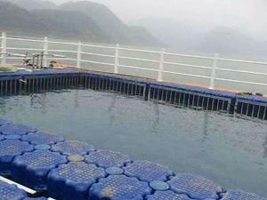 [Hot Item] Floating Dock Plastic Float; Floating Platform; Water Sports Platform; Jet Ski Mooring