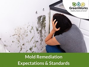 Mold Remediation Guidelines: Expectations & Standards