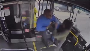 To attack a moving bus driver you must have a very low IQ.