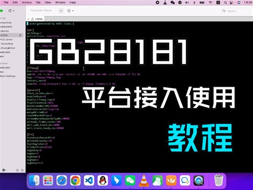 GB28181平台接入使用教程