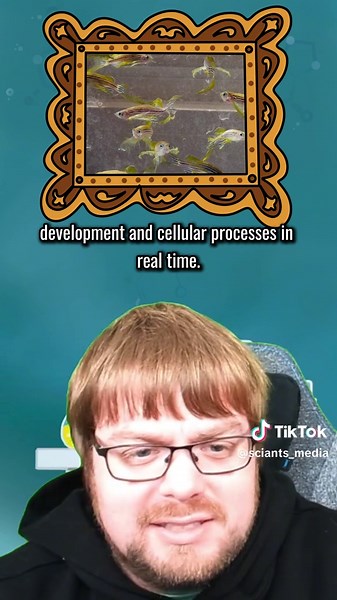 Zebra Fish: The Transparent Marvel of Genetics