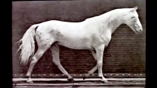 Horse Walking (1887) Eadweard Muybridge