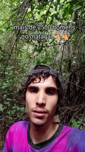 Carlinhos e Cavalos: Aventuras no Matagal