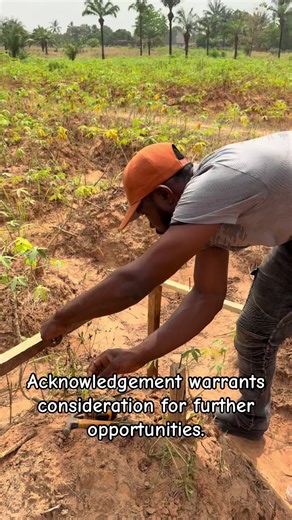 Top Architecture and Construction Insights Revealed