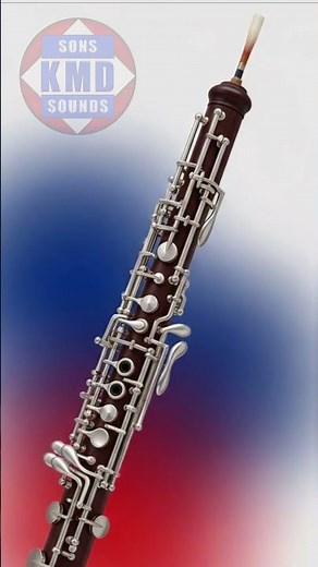 Son du hautbois 🎶 – Sons d’instruments authentiques et réels