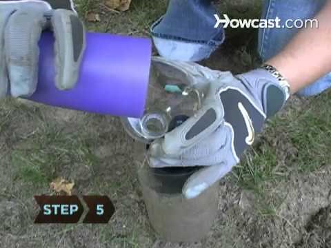 How to Make an Ant Farm