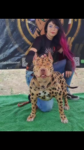Meraxes MDK: O Pit Monster de 7 Meses