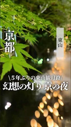 【京都・東山】心に灯る京都の夏 東山観月路 #東山観月路#ねねの道 #bamboo temple #bamboo fores
