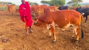 home 😘 #moilophotography😍🔥🔥🔥 #moilo #moilophotography