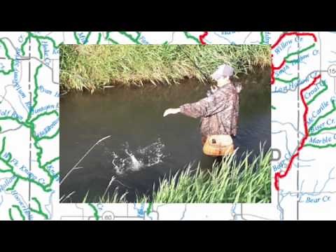 Trout Fishing in Richland County