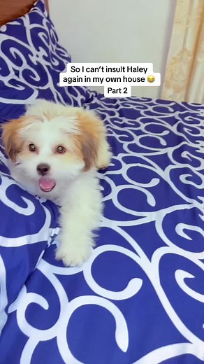 beautyqueen.84 on TikTok