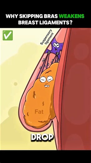 why Skipping Bras WEAKNESS BREAST ligaments? #3danimation #animation #animationvideo #anime