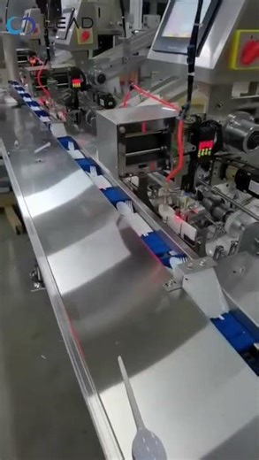 Cutlery packaging machine with double feeding|Lead Machinery