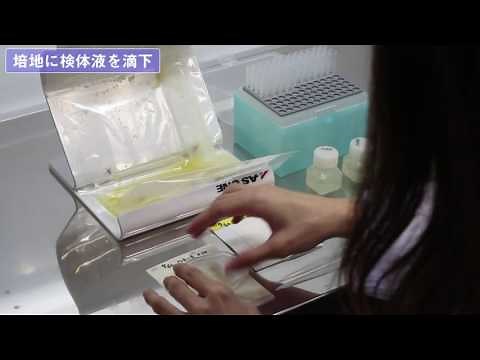 食品の微生物検査