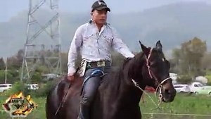 303K views · 6.9K reactions | ¡Una vuelta por la vida de Andariego de Tlalixtac de Cabrera, Oax.!鸞 Actualmente el máximo exponente a nivel nacional a pretal de grapa del Estado de Oaxaca, Luis Antonio García. Una entrevista realizada en el año 2018, hoy recordamos parte de lo que hacido su trayectoria en el mundo del Jaripeo. ✍ | Jaripeo Caliente RV | Facebook