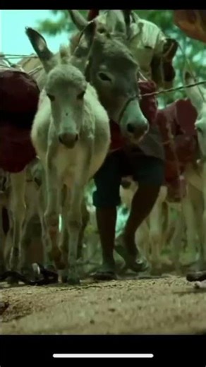 Pushpa_2_reloaded_full_movie_4k_2160p_Hindi __No_clickbait(1080p)