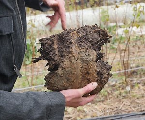 Stabilité structurale d’un sol