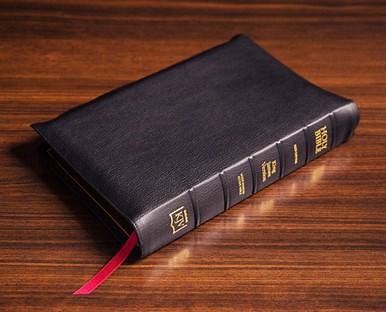 KJV Classic Wide Margin Study Bible (With C.I. Scofield Notes) - Goatskin Edition