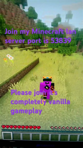 Minecraft server on lan (bc I don’t have enough money to make a server but when I do I will try) #MC