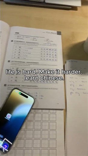 Life is hard. Make it harder. Learn Chinese. 🇨🇳 #chineselearning #hanzi #learnchinese