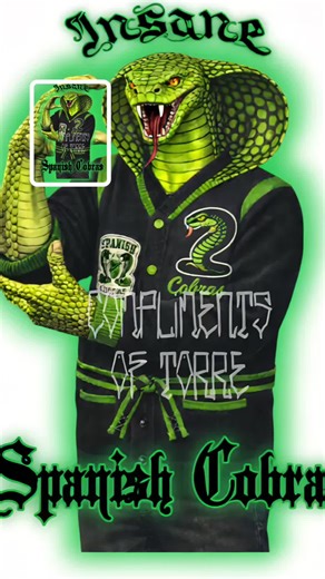 Exploring Chicago's Street Culture: Hood Kings and Emblems