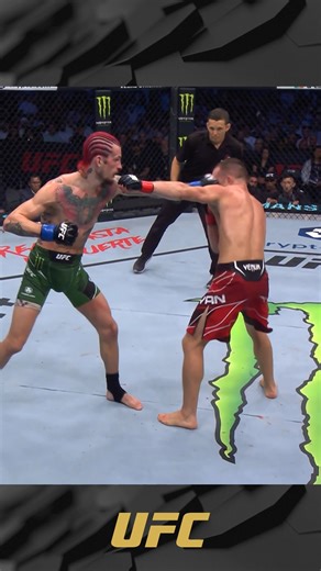 1M views · 20K reactions | Sean O'Malley vs Petr Yan | UFC Free Fight O'Malley returns this Saturday at #UFC324! [ SATURDAY | LIVE on PPV | Main 9pmET ] | UFC | Facebook