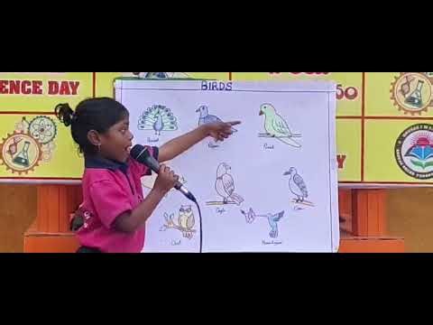 Birds Project Presentation by S Blessy LKG 2026