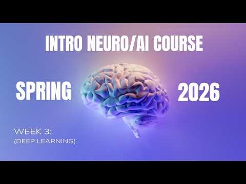 Deep Learning | Week 3 to the Intro Neuro/AI Course Spring 2026