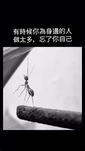 social_note_｜社交筆記｜社交｜朋友｜筆記｜教學 on Instagram: "有時候你為身邊的人 做太多，忘了你自己 #覺察"