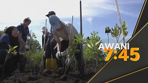 Inisiatif pucuk hijau UMW sasar tanam 2,000 anak pokok bakau