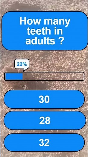 How many teeth in adults ?