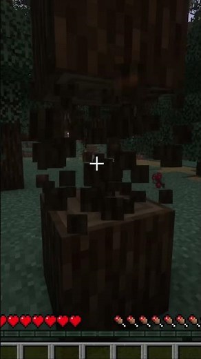 HOW TO CRAFT WORKBENCH IN MINECRAFT (ALL VERSIONS)