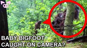 24K views · 761 reactions | These Scary Videos Will Keep You Guessing | Slapped Ham | Facebook