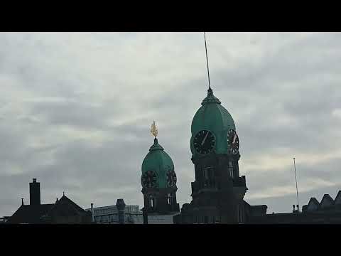 🚢 Rotterdam Port Tour | 8 January 2026 | दुनिया का सबसे बड़ा बंदरगाह 🇳🇱 Universal Tour with Kuldeep