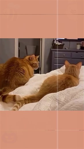 Jake Paul vs KSI: The Ultimate Fight Analysis