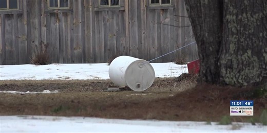 Rising temperatures cause trees to halt sap production