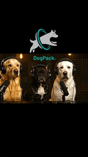 698K views · 14K reactions | Honored to have Buster's World on the pawdcast. He left a real splash in the studio today  ❤️ | DogPack | Facebook